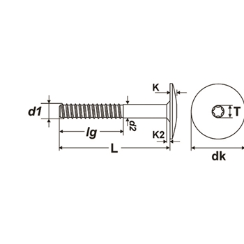Vis d'escaliers PROFIX PTS-H