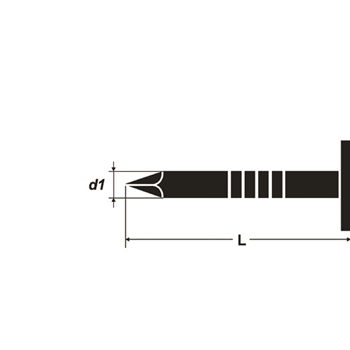 Pointes pour carton bitumé