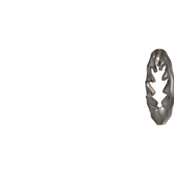 Rondelles éventail DIN 6798 J PROFIX A2